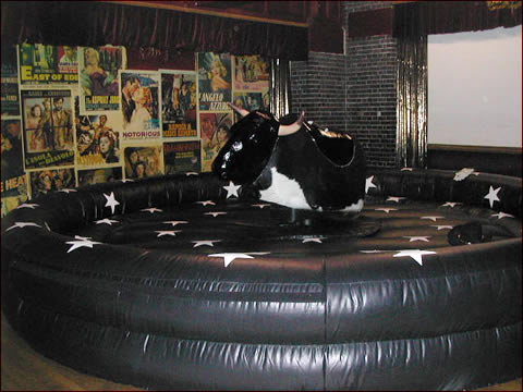 Rodeo Bull