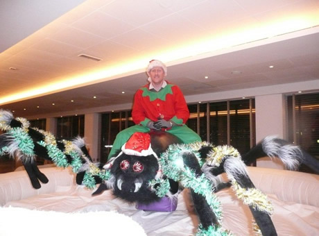 Rodeo Christmas Spider