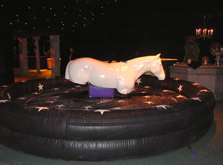 Rodeo Unicorn Horse